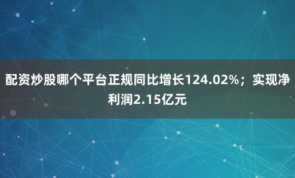 配资炒股哪个平台正规同比增长124.02%；实现净利润2.15亿元