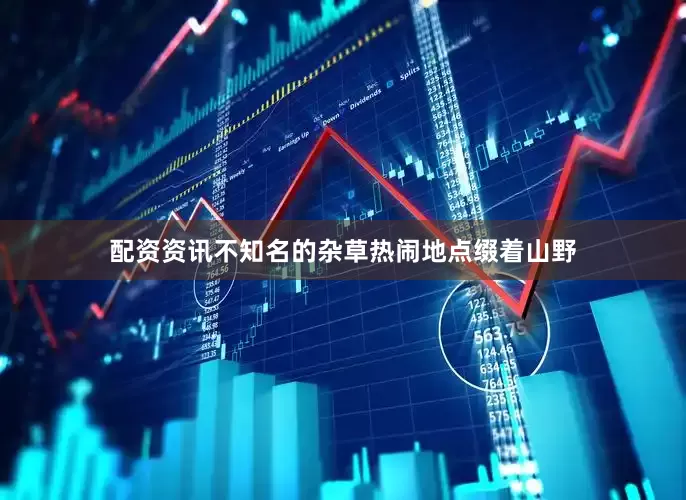 配资资讯不知名的杂草热闹地点缀着山野