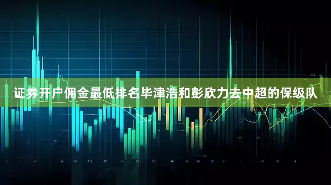 证券开户佣金最低排名毕津浩和彭欣力去中超的保级队