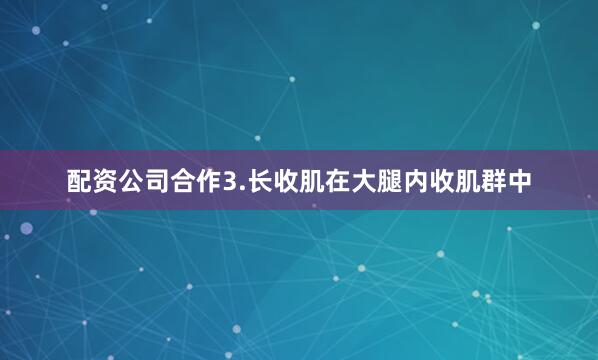 配资公司合作3.长收肌在大腿内收肌群中